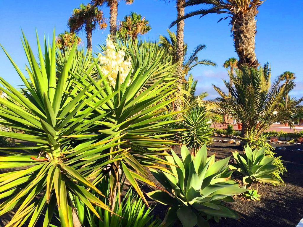 Casita Blanca, Jardin Del Sol 1 Villa Playa Blanca  Luaran gambar